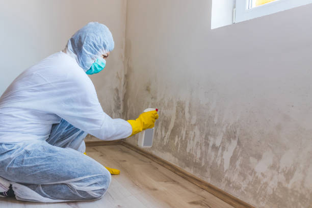 Justin, TX Mold Remediation Company