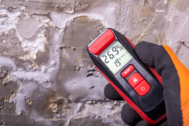 Best Mold Remediation for Specific Building Types in Justin, TX