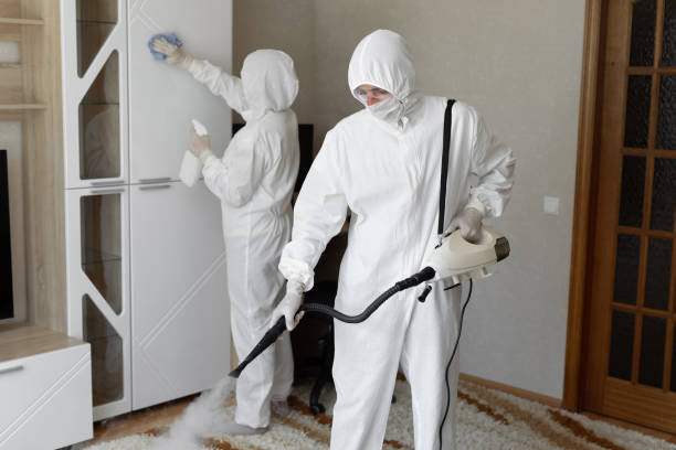 Best Emergency Mold Remediation in Justin, TX